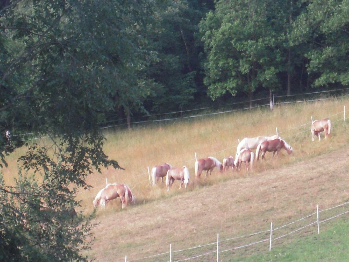 Haflingerhof Luef Βίλα Bad Schönau Εξωτερικό φωτογραφία