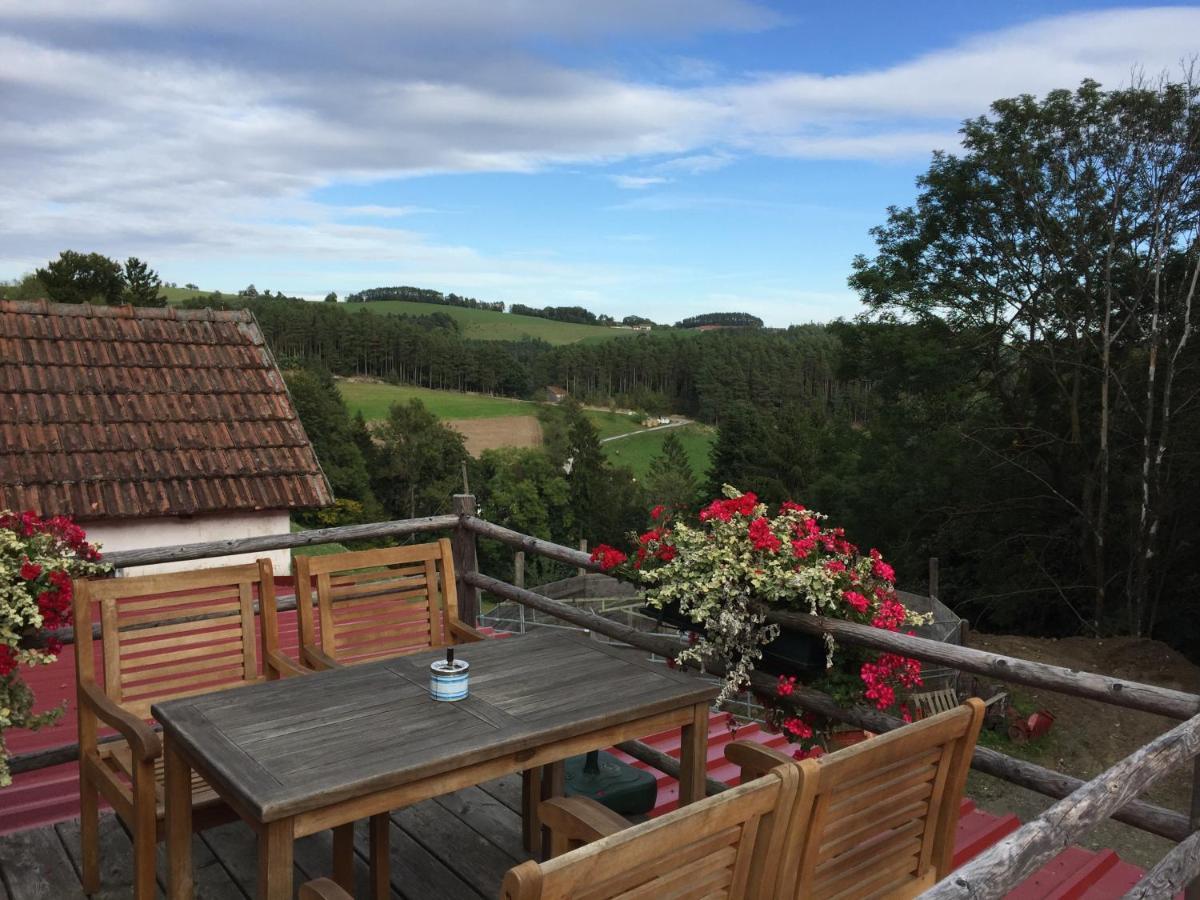 Haflingerhof Luef Βίλα Bad Schönau Εξωτερικό φωτογραφία