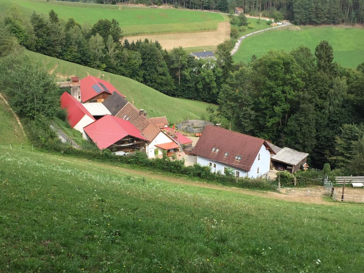 Haflingerhof Luef Βίλα Bad Schönau Εξωτερικό φωτογραφία
