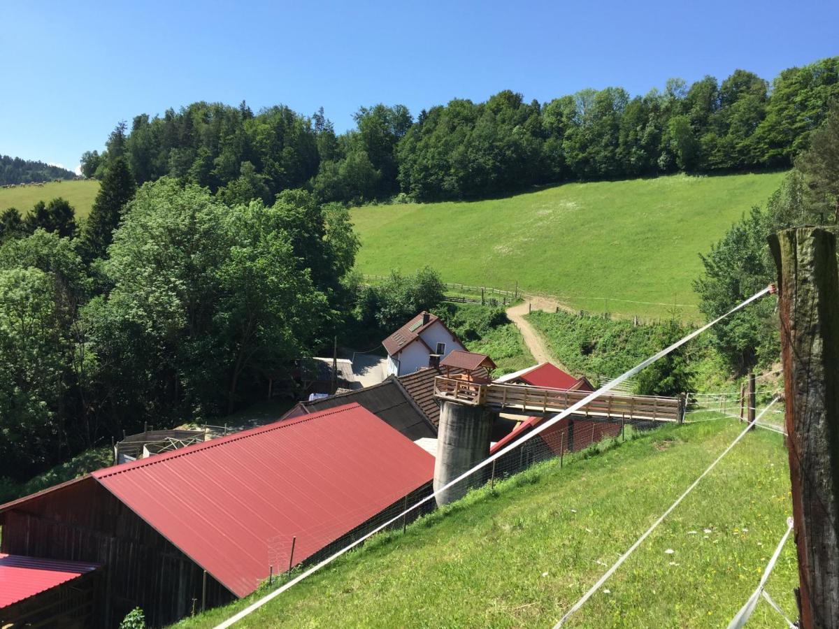 Haflingerhof Luef Βίλα Bad Schönau Εξωτερικό φωτογραφία