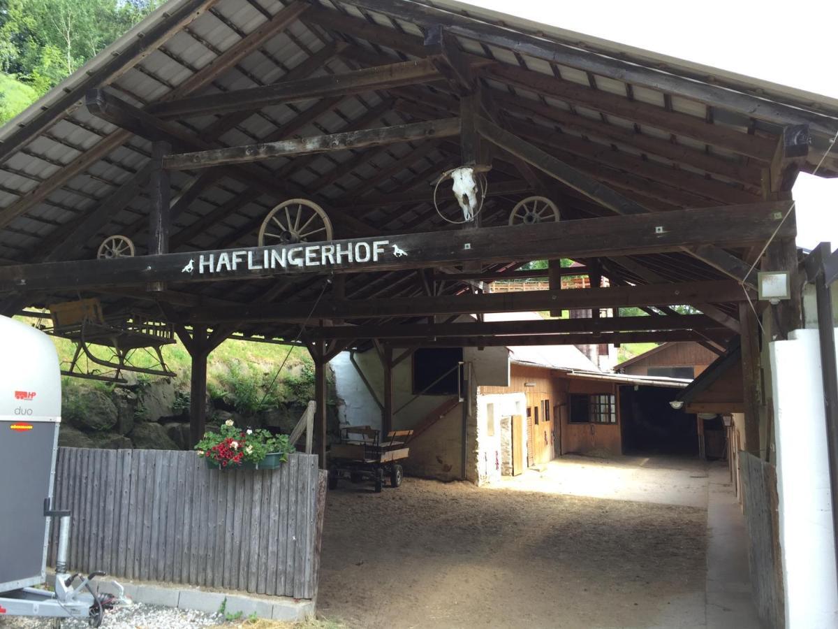 Haflingerhof Luef Βίλα Bad Schönau Εξωτερικό φωτογραφία