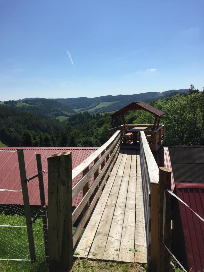 Haflingerhof Luef Βίλα Bad Schönau Εξωτερικό φωτογραφία
