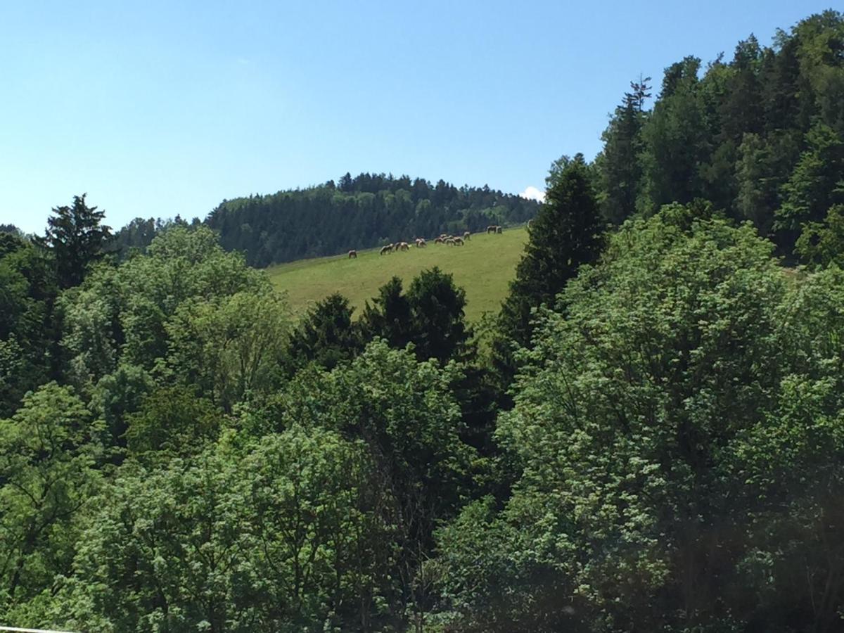 Haflingerhof Luef Βίλα Bad Schönau Εξωτερικό φωτογραφία